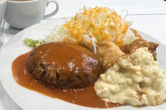 ハンバーグ&チキン南蛮の画像